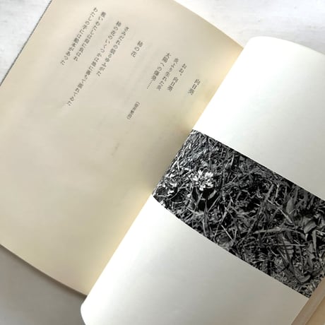 雲花雨街樹鳥海夜 / 串田孫一
