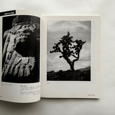 岡本太郎とメキシコ 熱いまなざし