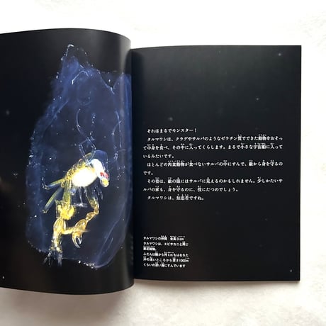 海のかたち　ぼくの見たプランクトン / たくさんのふしぎ391