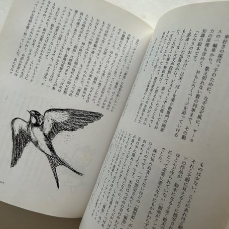 ぼくの絵本美術館   / 堀内 誠一