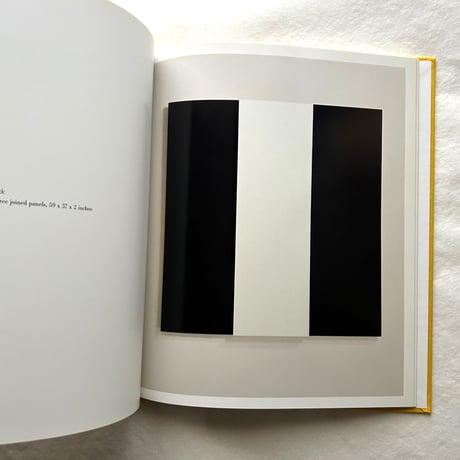 Ellsworth Kelly   Relief Paintings 1954-2001 / Sarah Rich