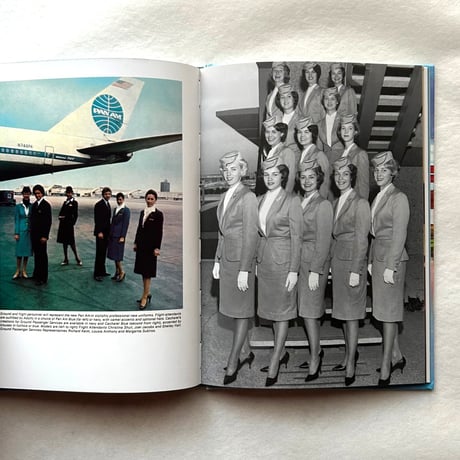 Stewardess: Come Fly with Me! /   Elissa Stein