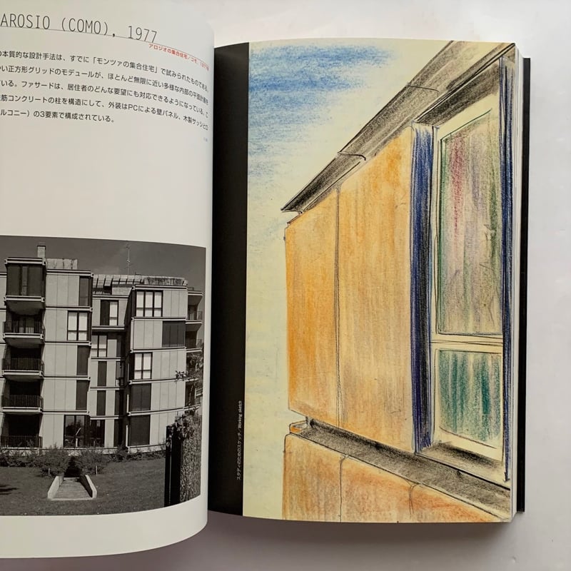 難有 アンジェロ・マンジャロッティ 洋書 難有 アンジェロ・マンジャロッティ 洋書