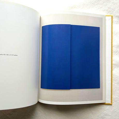 Ellsworth Kelly   Relief Paintings 1954-2001 / Sarah Rich