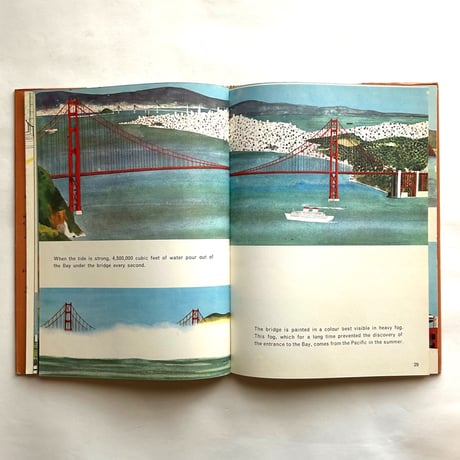 This is San Francisco / M.Sasek