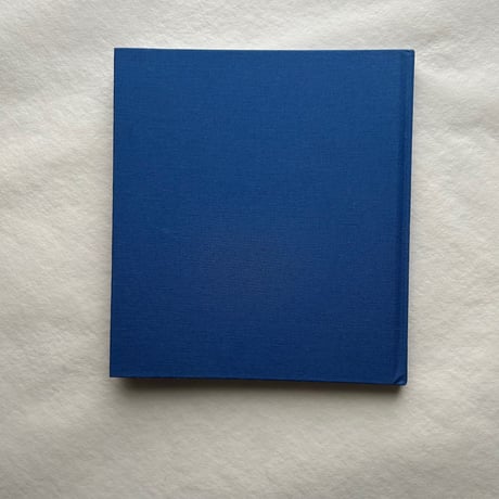 Blue Prints / Zeva Oelbaum