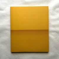 Ellsworth Kelly   Relief Paintings 1954-2001 / Sarah Rich