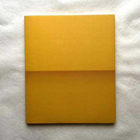 Ellsworth Kelly   Relief Paintings 1954-2001 / Sarah Rich