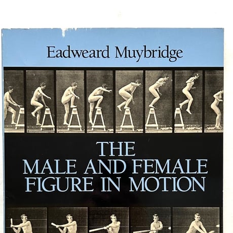 Male and Female Figure in Motion / Eadweard Muybridge