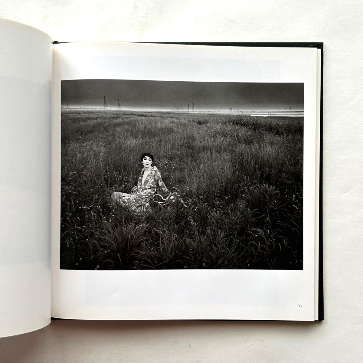 Eikoh Hosoe (Masters of Photography) / Mark Hol