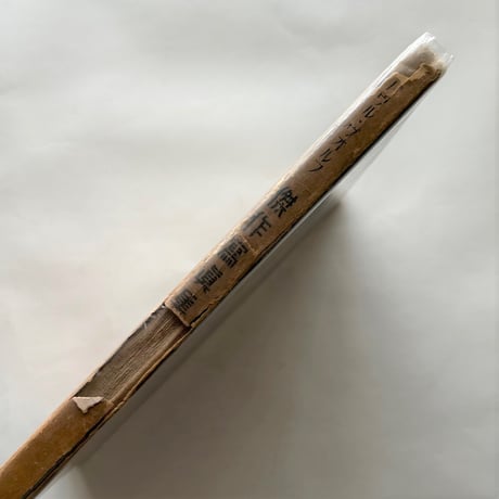 パウル・ヴォルフ　傑作寫眞集