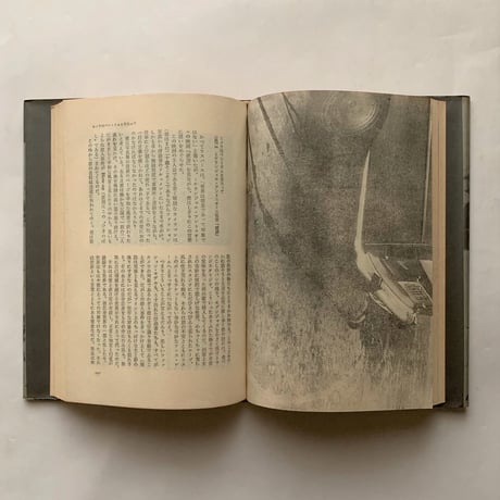 なぜ、植物図鑑か―中平卓馬映像論集