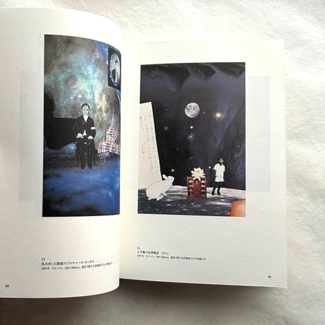 野中ユリ 画文集 / 神奈川県立近代美術館