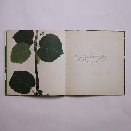 The Caterpillar's Story / Katrin Brandt