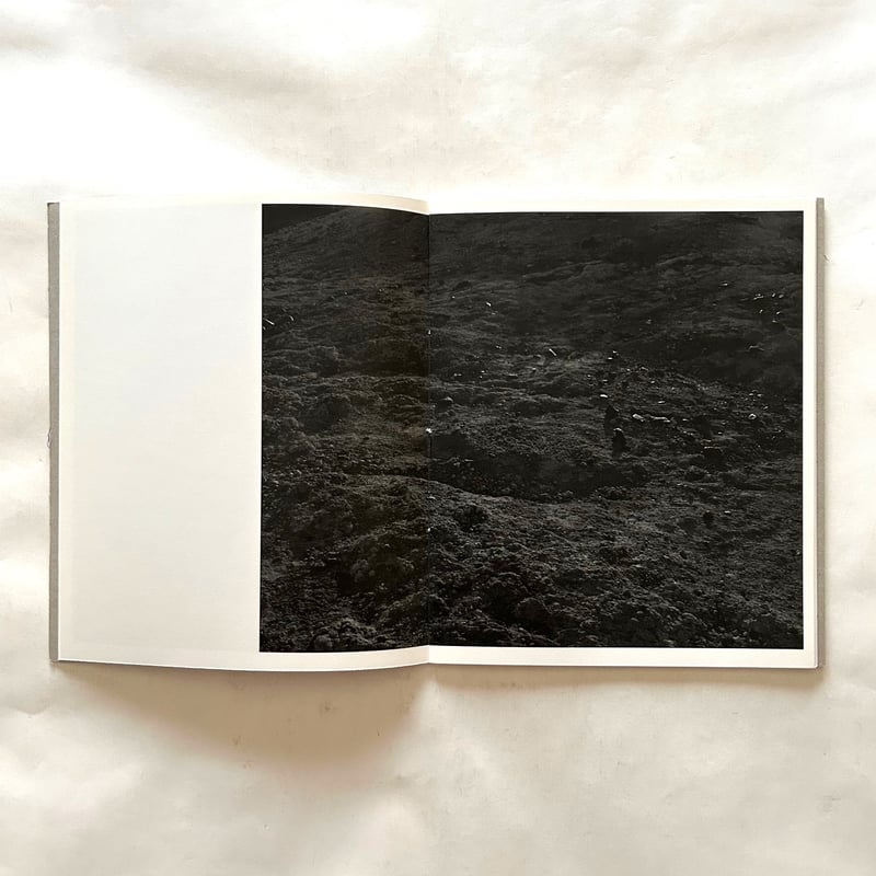 Blanco / Awoiska Van Der Molen | 本まるさんかくしかく