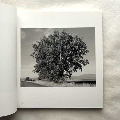 Tree Line / Robert Adams