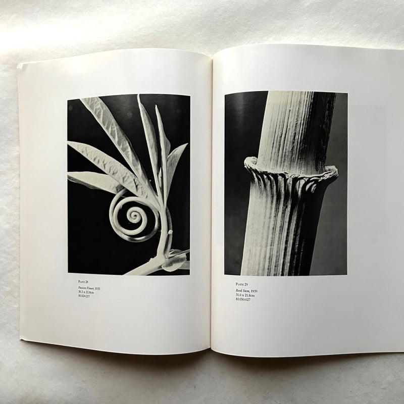 写真集 洋書 アメリカ アンドレアス ファイニンガー アンドレアス・ファイニンガー / Andreas Feininger | 本まるさん