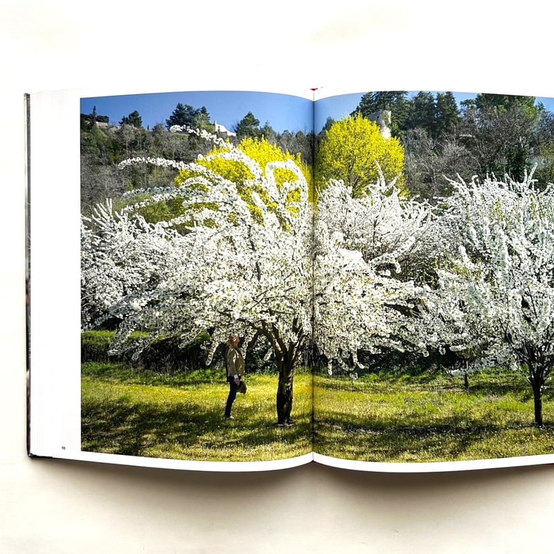 Wild Flowers / Joel Meyerowitz ジョエル・マイヤウィッツ | 本