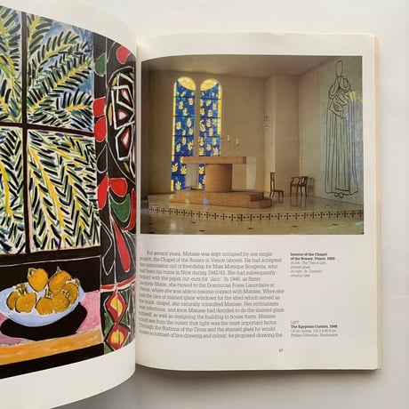 Henri Matisse 1869-1954 Master of Colour