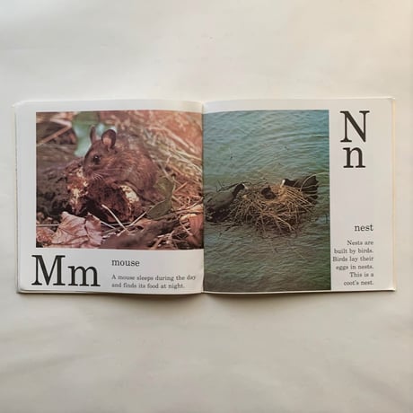 Farm Alphabet Book / Jane Miller　古書