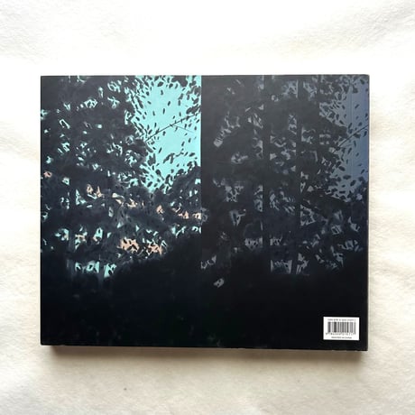 Alex Katz   This Is Now / Michael Rooks, Margaret Graham