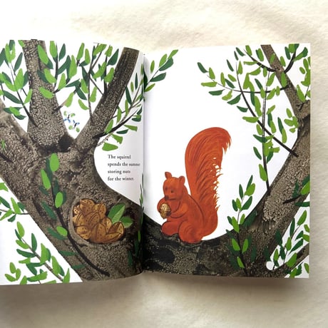 Bruno Munari's Zoo / ブルーノ・ムナーリ