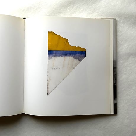Paintings on Marble / ブライス・マーデン