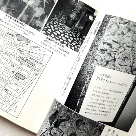 都市の化石地図 / カラーブックス587