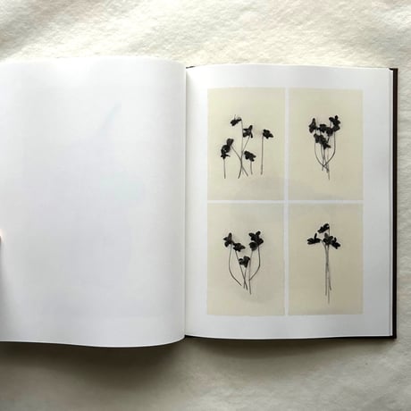 Time in Air, Time in Paper /  森田幸子