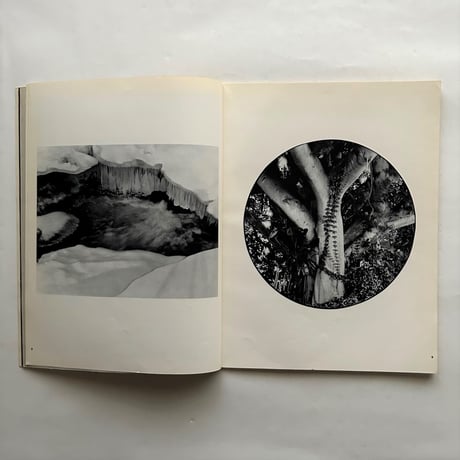 camera No 3 / 54th year / C.J.BUCHER.LTD