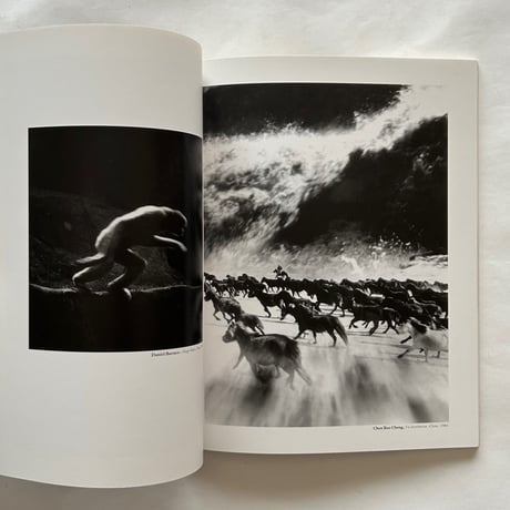 カメラ・インターナショナル 日本版4号 動物写真譚