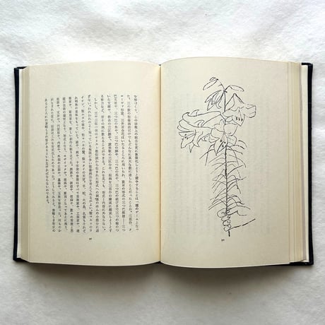ある絵の伝記 / ベン・シャーン