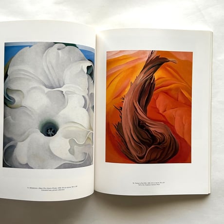 Georgia O'Keeffe Museum
