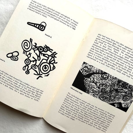 Guide to Indian Rock Carvings of the Pacific Northwest Coast / Beth Hill