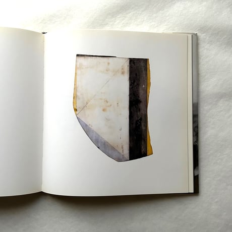 Paintings on Marble / ブライス・マーデン