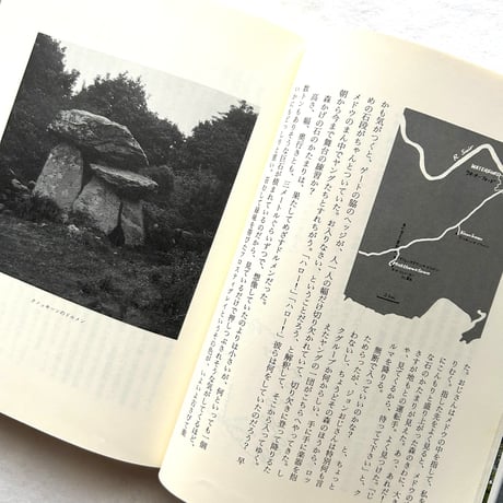 ケルト・石の遺跡たち / 堀淳一