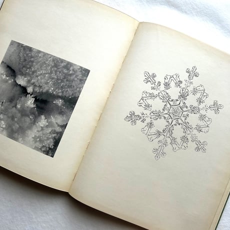 Aus Meiner Gräsermappe / Fritz Kühn フリッツ･クーン