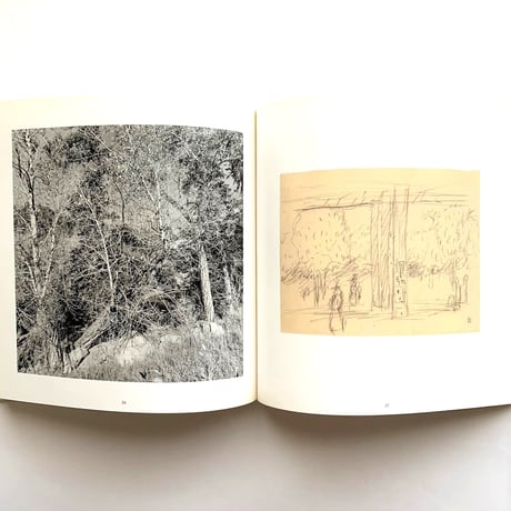 Photographs & Drawings  / Lee Friedlander