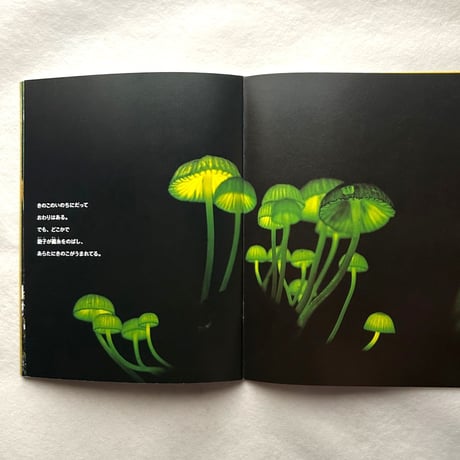 ほら、きのこが…　 / たくさんのふしぎ127