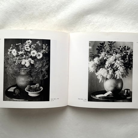 Otho Lloyd / オト・ロイド
