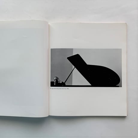 Arnold Newman's Americans / Alan Fern