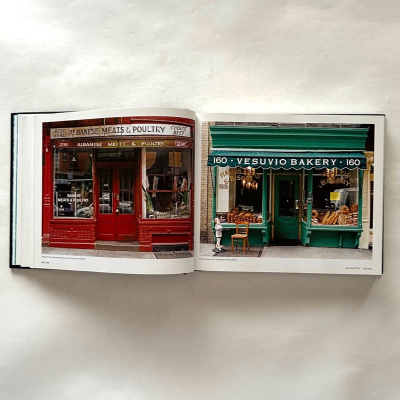 Store Front The Disappearing face of New York