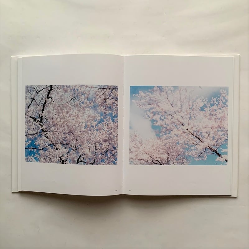 熊野、雪、桜 / 鈴木理策 | 本まるさんかくしかく