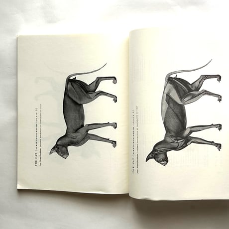 An Atlas of Animal Anatomy for Artists