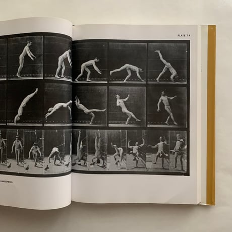 The Human Figure in Motion   / Eadweard Muybridge
