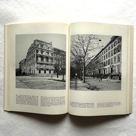 Nineteenth-Century New York in Rare Photographic Views / Frederick S. Lightfoot