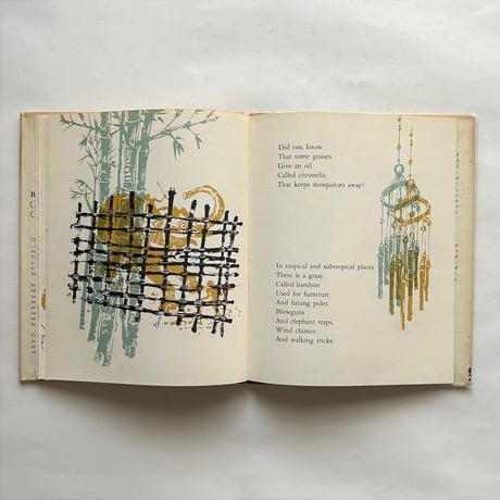 Guess what grasses do / Barbara Rinkoff