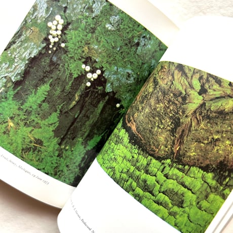 Nature’s Chaos / ジェームズ・グレイック (テキスト)、エリオット・ポーター (写真)