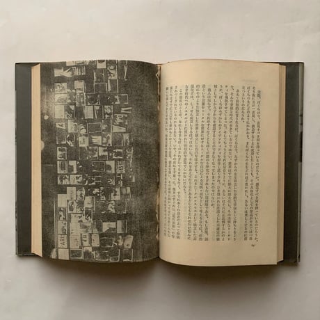 なぜ、植物図鑑か―中平卓馬映像論集