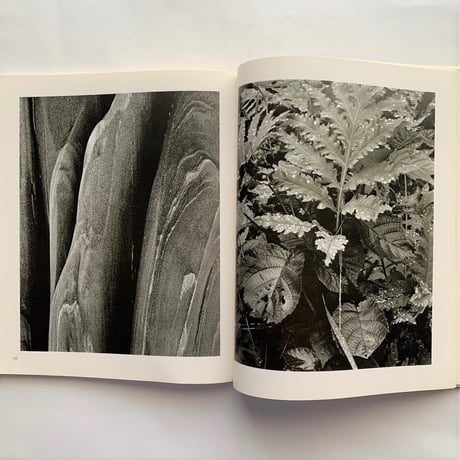 Paul Strand Fotografie